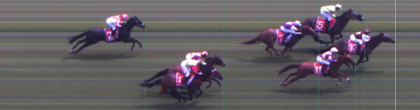 Thoroughbred Form Guide - Tasracing FORMPLUS | Data driven