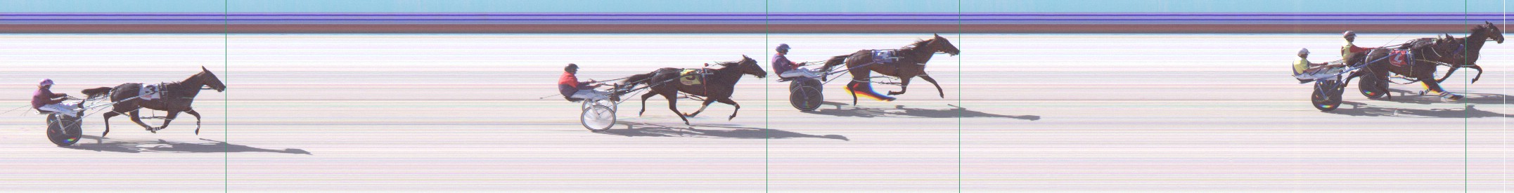 Harness Form Guide - Tasracing FORMPLUS | Data driven