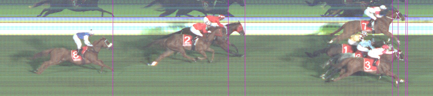 Thoroughbred Form Guide - Tasracing FORMPLUS | Data driven