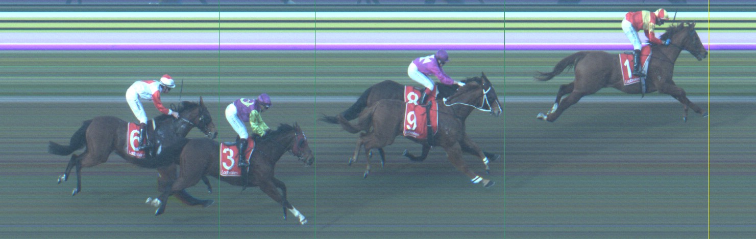 Thoroughbred Form Guide - Tasracing FORMPLUS | Data driven