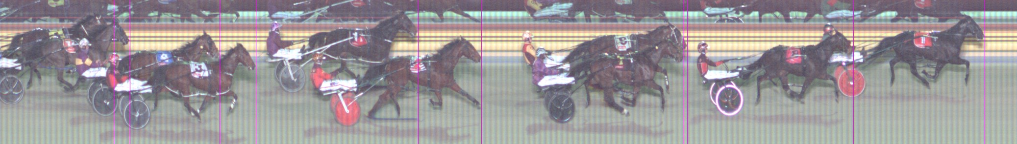 Harness Form Guide - Tasracing FORMPLUS | Data driven