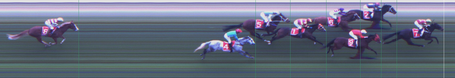Thoroughbred Form Guide - Tasracing FORMPLUS | Data driven