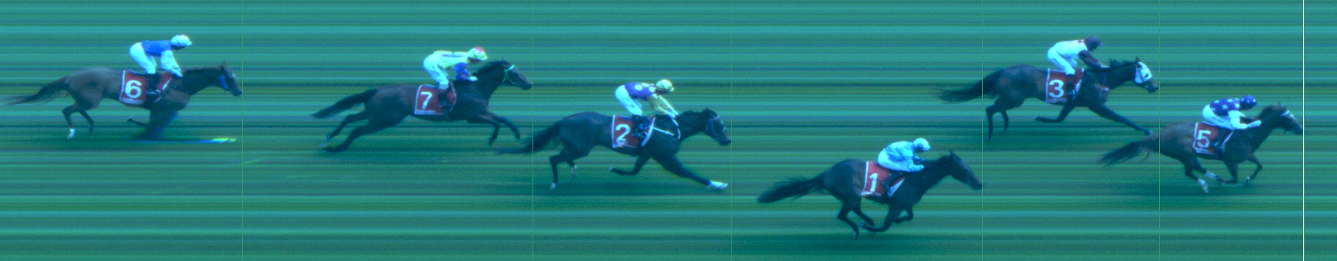 Thoroughbred Form Guide - Tasracing FORMPLUS | Data driven