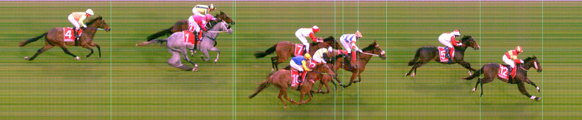 Thoroughbred Form Guide - Tasracing FORMPLUS | Data driven