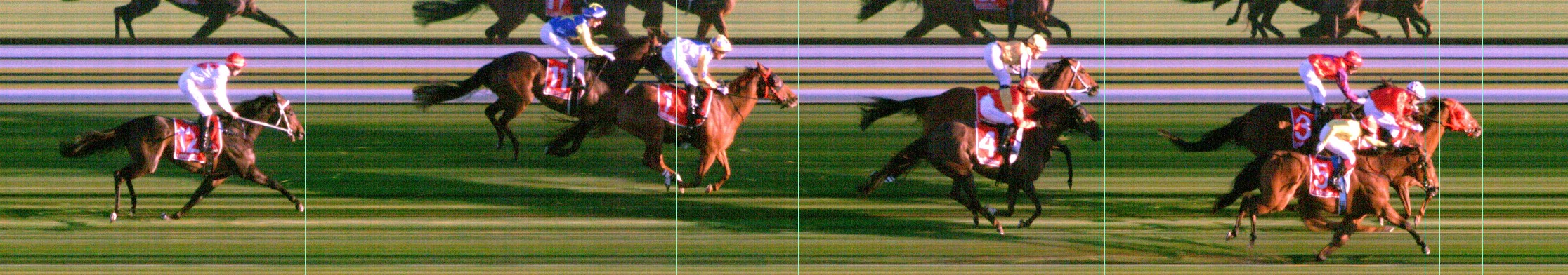 Thoroughbred Form Guide - Tasracing FORMPLUS | Data driven