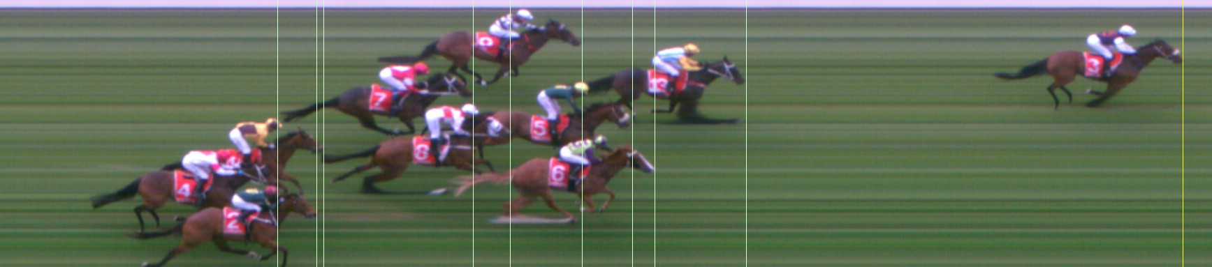 Thoroughbred Form Guide - Tasracing FORMPLUS | Data driven