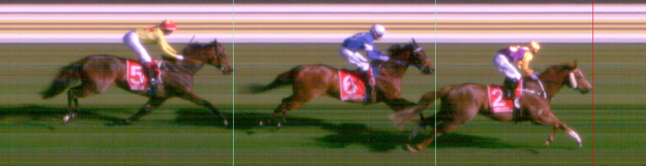 Thoroughbred Form Guide - Tasracing FORMPLUS | Data driven