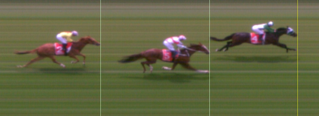Thoroughbred Form Guide - Tasracing FORMPLUS | Data driven