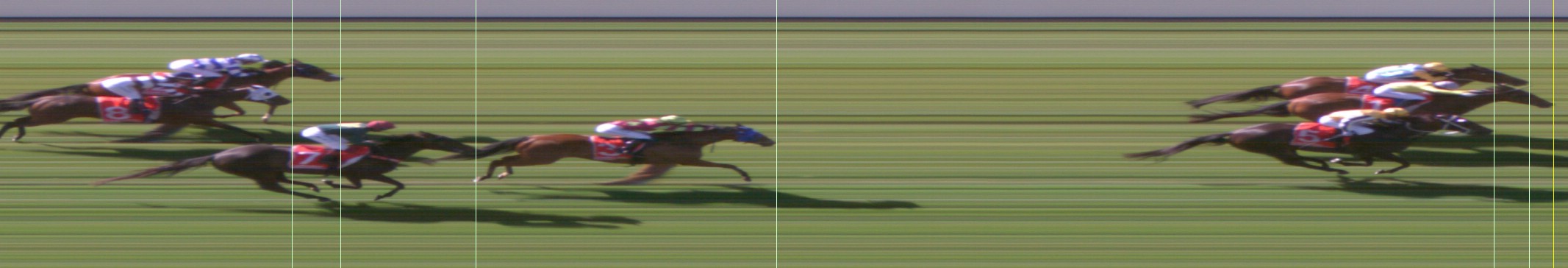 Thoroughbred Form Guide - Tasracing FORMPLUS | Data driven