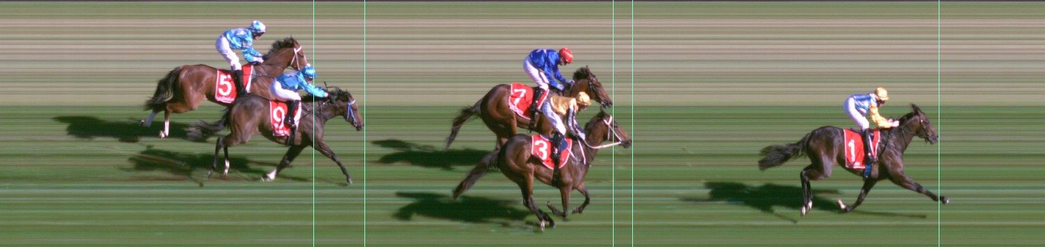 Thoroughbred Form Guide - Tasracing FORMPLUS | Data driven