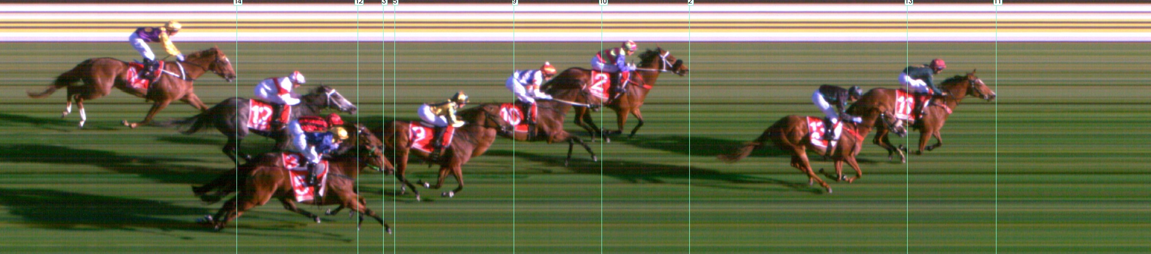 Thoroughbred Form Guide - Tasracing FORMPLUS | Data driven