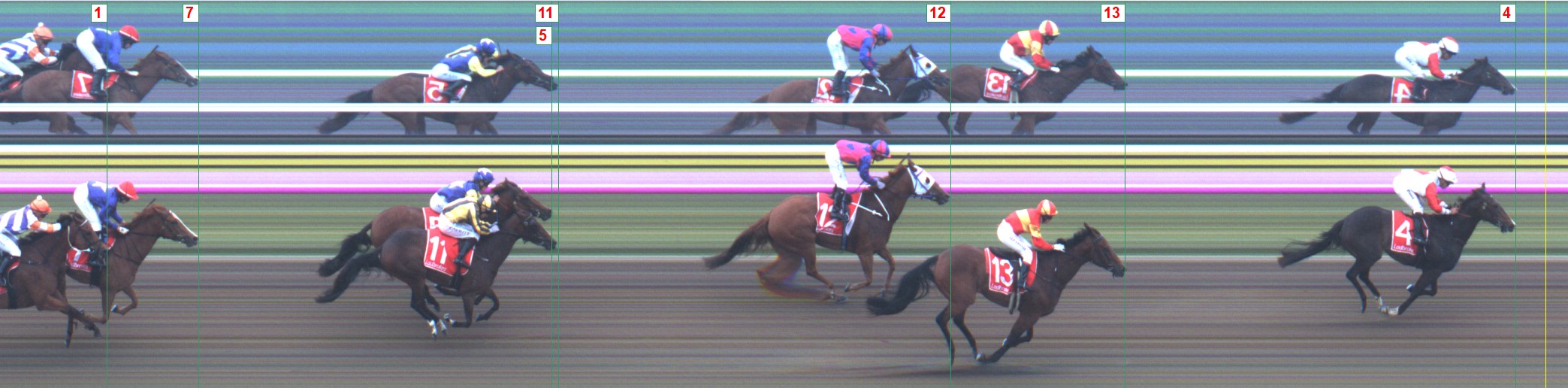 Thoroughbred Form Guide - Tasracing FORMPLUS | Data driven