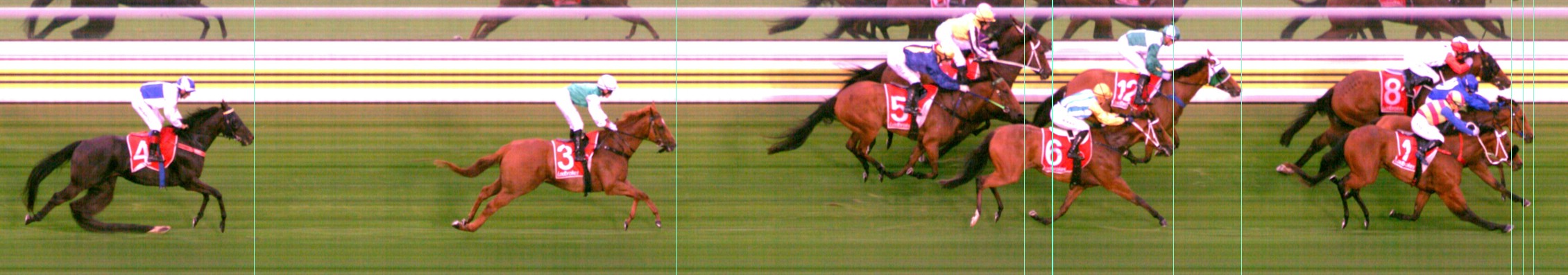 Thoroughbred Form Guide - Tasracing FORMPLUS | Data driven