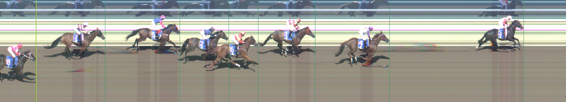 Thoroughbred Form Guide - Tasracing FORMPLUS | Data driven