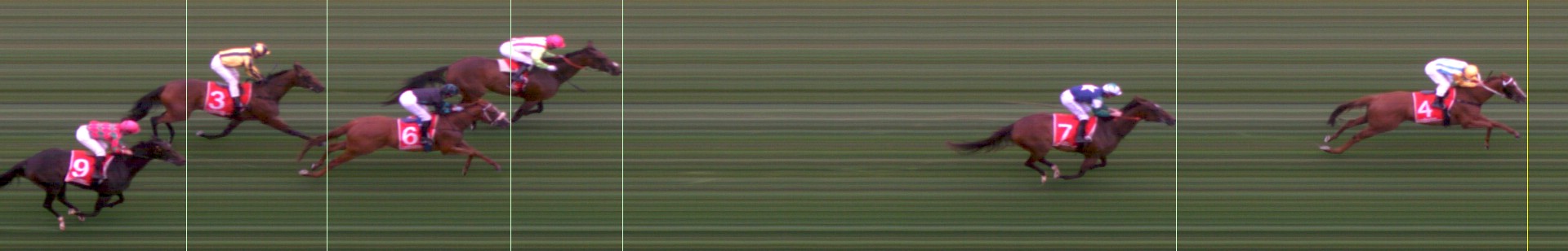 Thoroughbred Form Guide - Tasracing FORMPLUS | Data driven