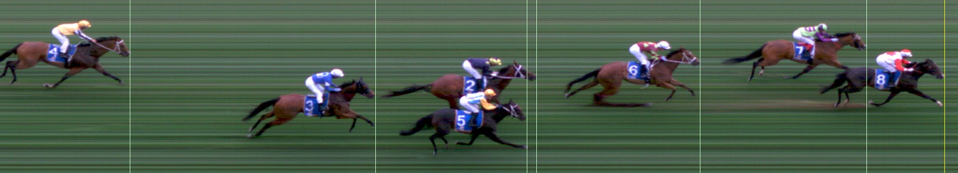 Thoroughbred Form Guide - Tasracing FORMPLUS | Data driven