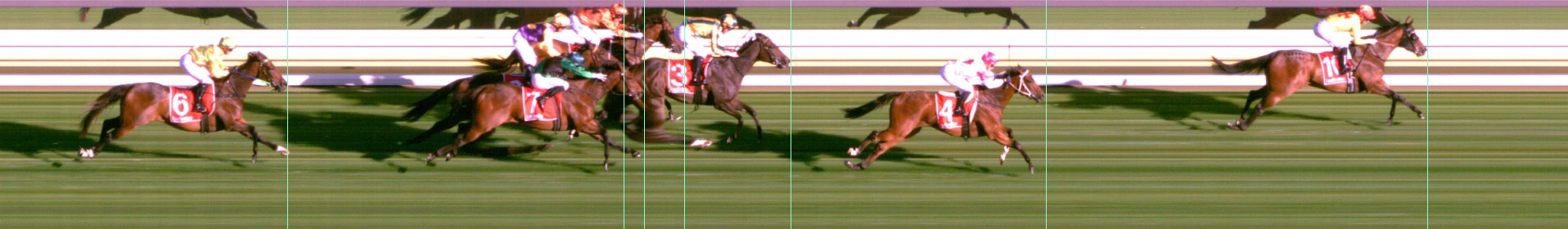 Thoroughbred Form Guide - Tasracing FORMPLUS | Data driven