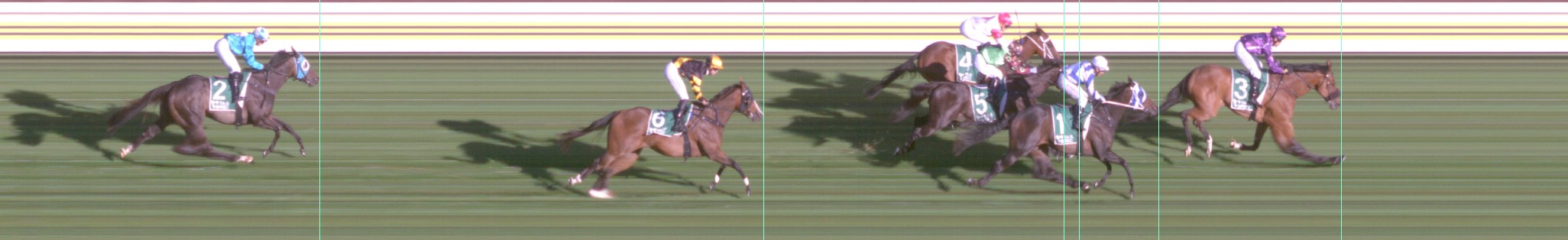 Thoroughbred Form Guide - Tasracing FORMPLUS | Data driven