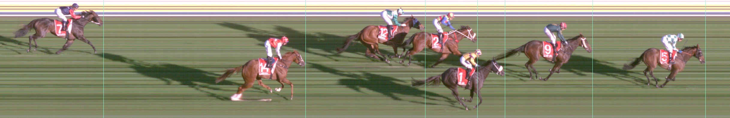 Thoroughbred Form Guide - Tasracing FORMPLUS | Data driven
