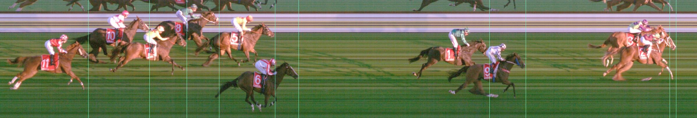 Thoroughbred Form Guide - Tasracing FORMPLUS | Data driven