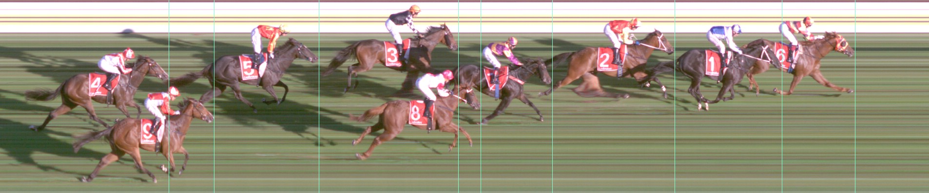 Thoroughbred Form Guide - Tasracing FORMPLUS | Data driven