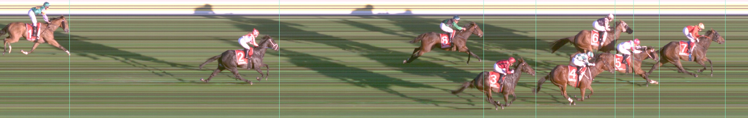Thoroughbred Form Guide - Tasracing FORMPLUS | Data driven
