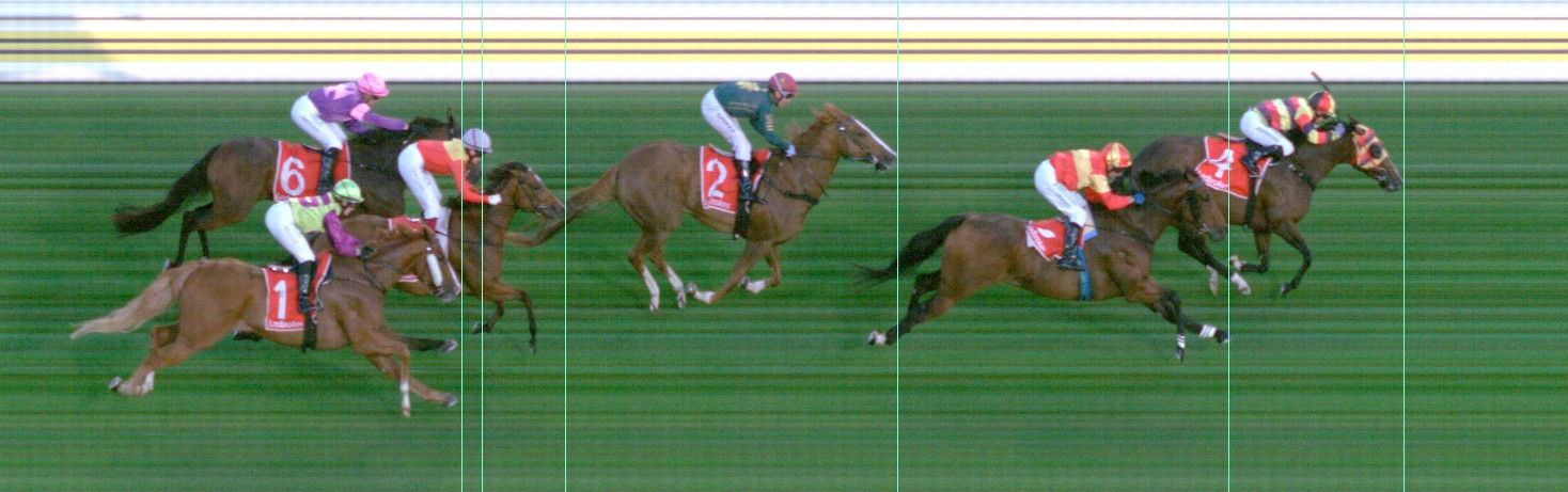 Thoroughbred Form Guide - Tasracing FORMPLUS | Data driven