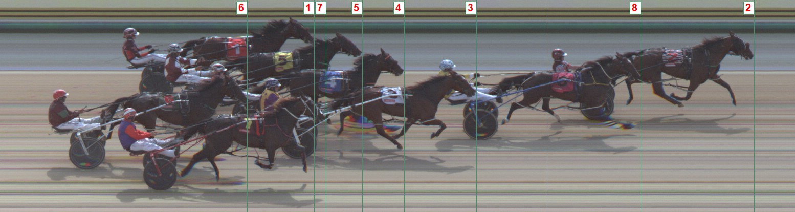 Harness Form Guide - Tasracing FORMPLUS | Data driven
