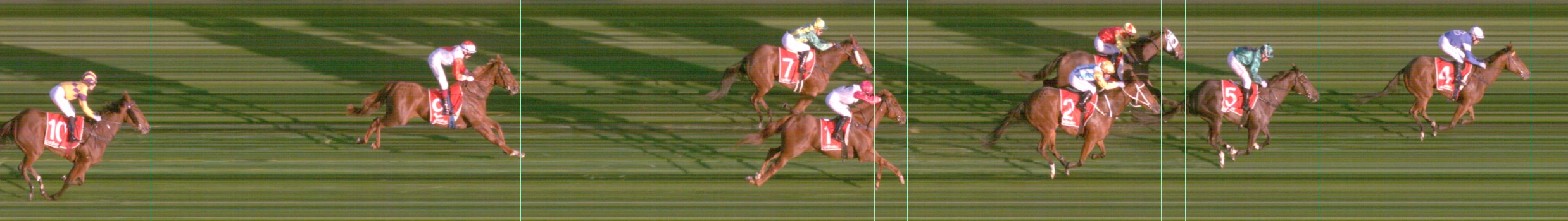 Thoroughbred Form Guide - Tasracing FORMPLUS | Data driven