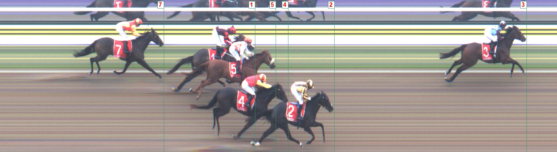 Thoroughbred Form Guide - Tasracing FORMPLUS | Data driven