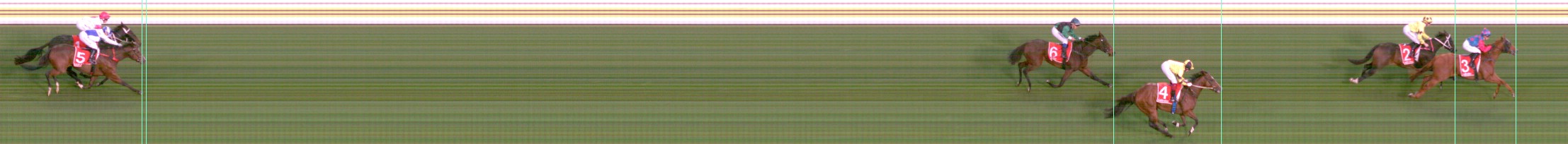 Thoroughbred Form Guide - Tasracing FORMPLUS | Data driven