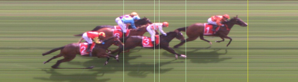 Thoroughbred Form Guide - Tasracing FORMPLUS | Data driven