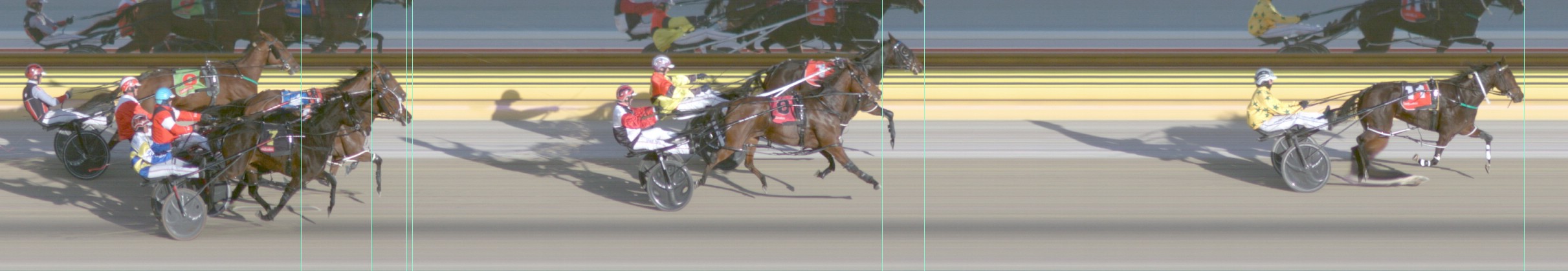 Harness Form Guide - Tasracing FORMPLUS | Data driven
