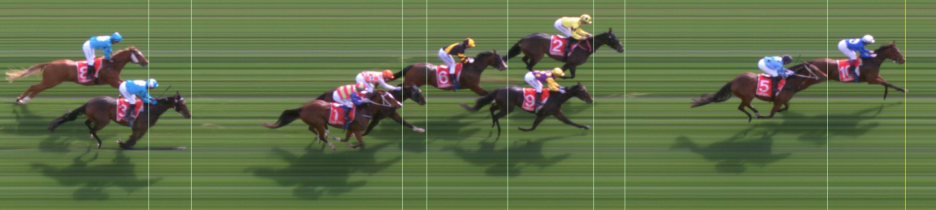 Thoroughbred Form Guide - Tasracing FORMPLUS | Data driven