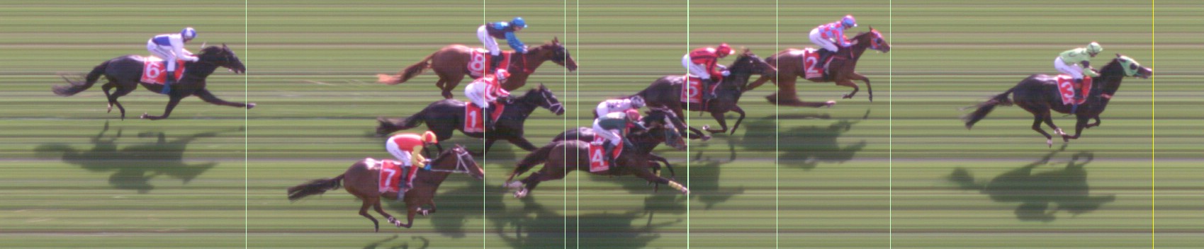 Thoroughbred Form Guide - Tasracing FORMPLUS | Data driven