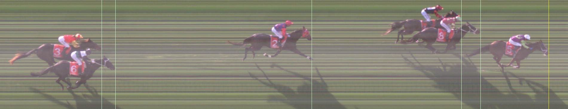 Thoroughbred Form Guide - Tasracing FORMPLUS | Data driven