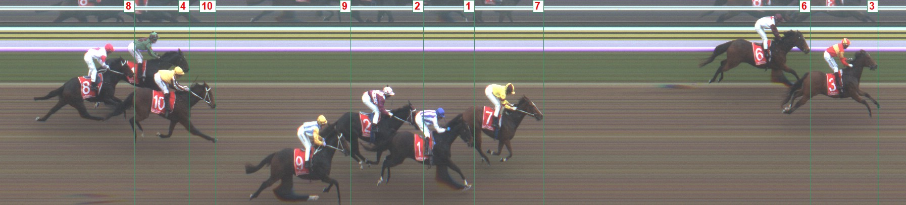 Thoroughbred Form Guide - Tasracing FORMPLUS | Data driven
