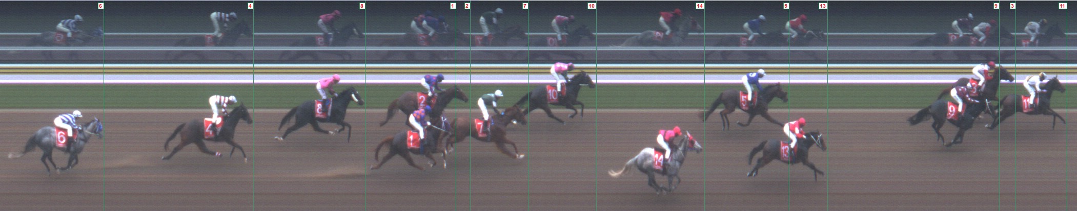 Thoroughbred Form Guide - Tasracing FORMPLUS | Data driven
