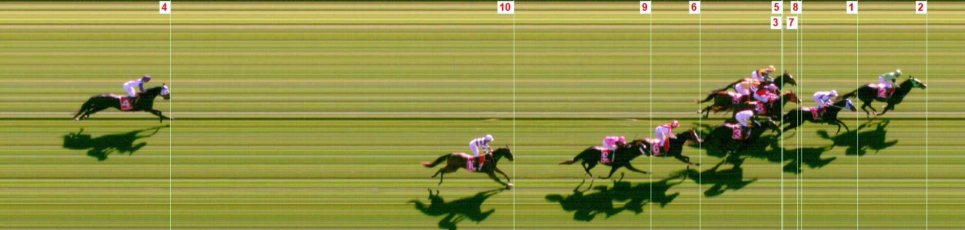 Thoroughbred Form Guide - Tasracing FORMPLUS | Data driven