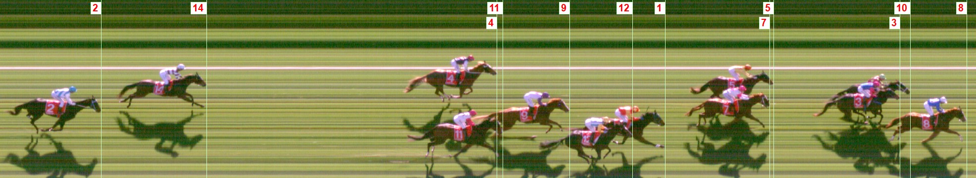 Thoroughbred Form Guide - Tasracing FORMPLUS | Data driven