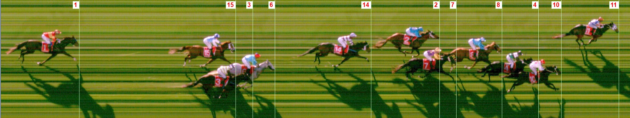 Thoroughbred Form Guide - Tasracing FORMPLUS | Data driven