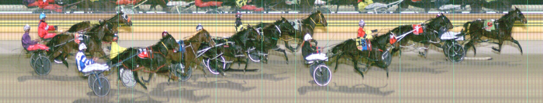 Harness Form Guide - Tasracing FORMPLUS | Data driven