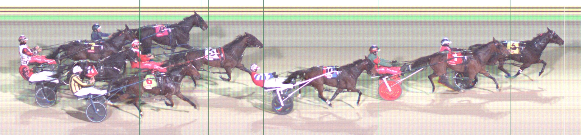 Harness Form Guide - Tasracing FORMPLUS | Data driven