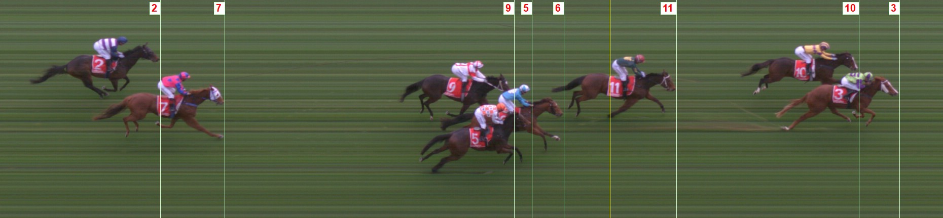 Sigrid Carr Racing Thoroughbred Form Guide - Tasracing FORMPLUS | Data driven