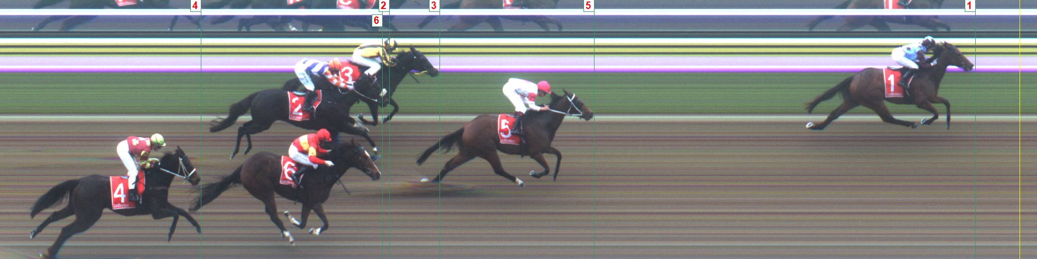Thoroughbred Form Guide - Tasracing FORMPLUS | Data driven