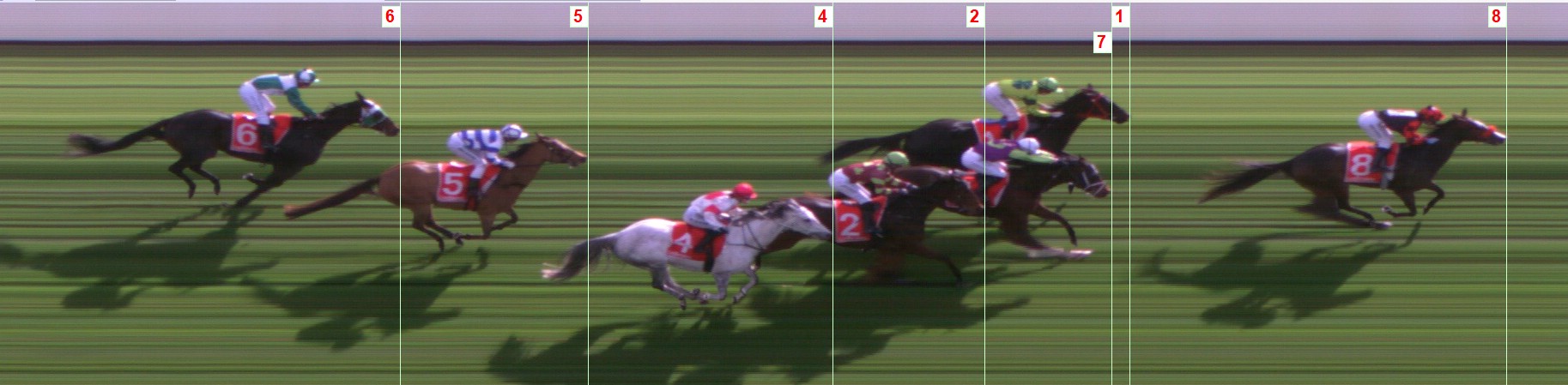 Thoroughbred Form Guide - Tasracing FORMPLUS | Data driven