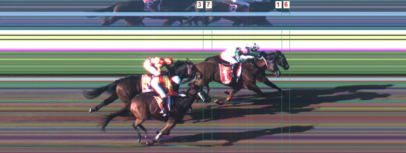 Thoroughbred Form Guide - Tasracing FORMPLUS | Data driven