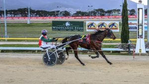 Rocknroll Willow won the 2026 Tasmanian Oaks.